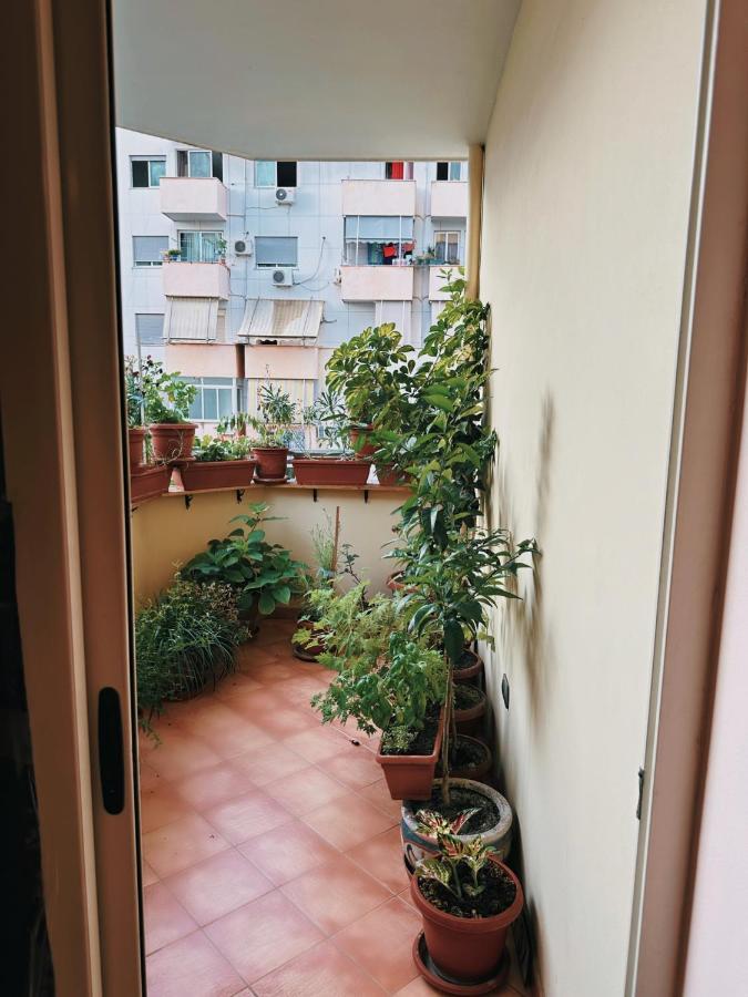 Bed & Breakfast Mina Τίρανα Εξωτερικό φωτογραφία